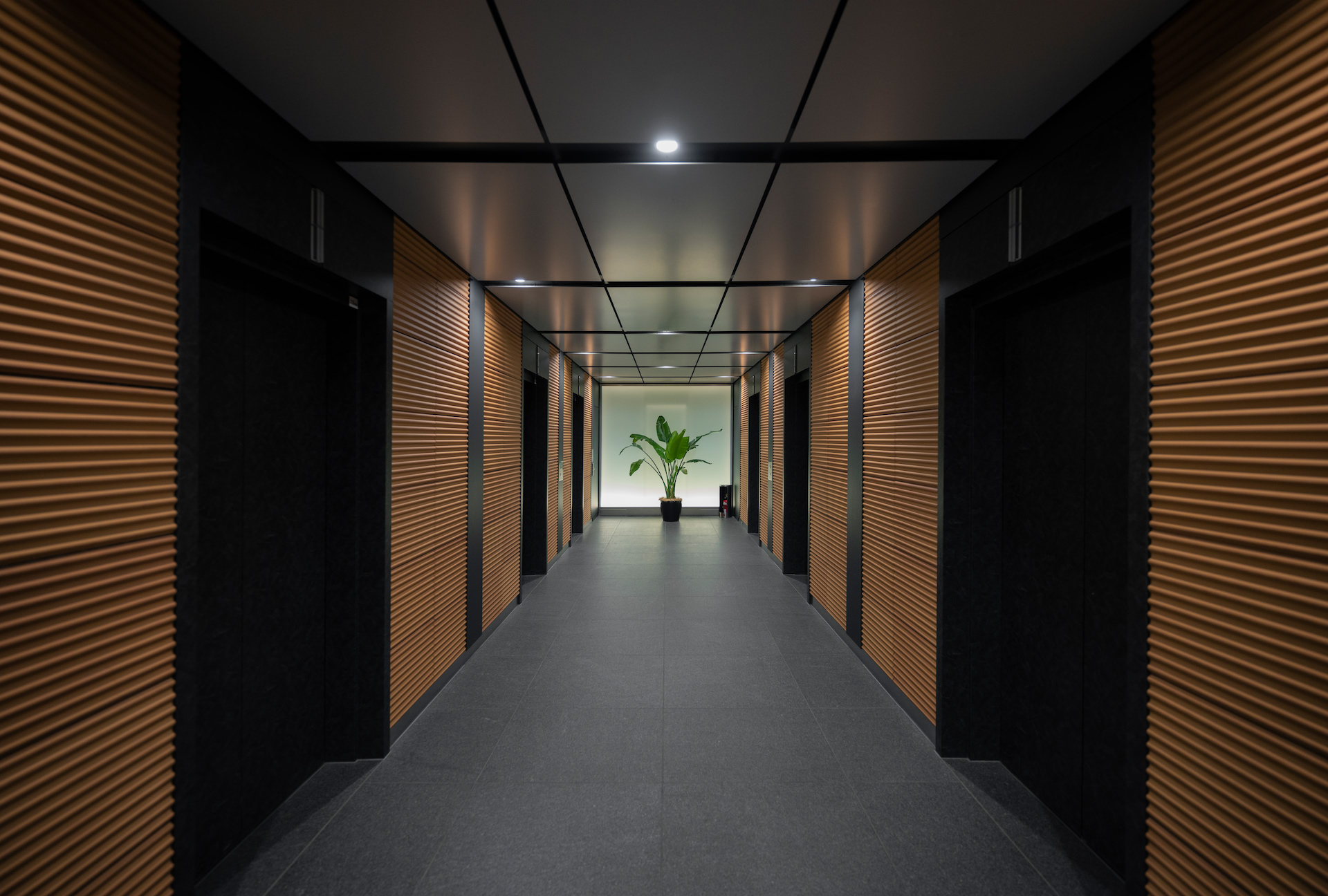 A long hallway with timber walls leading to a plant at the far end